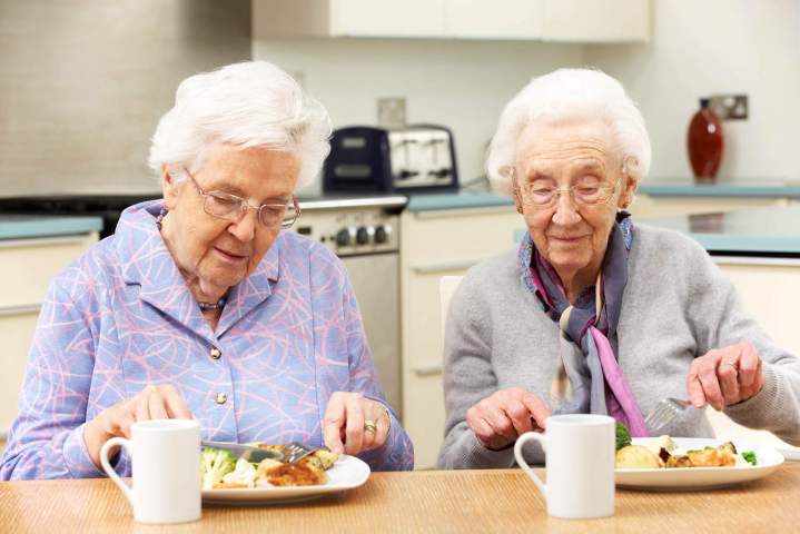 Nutrition for Elderly Services Hialeah
